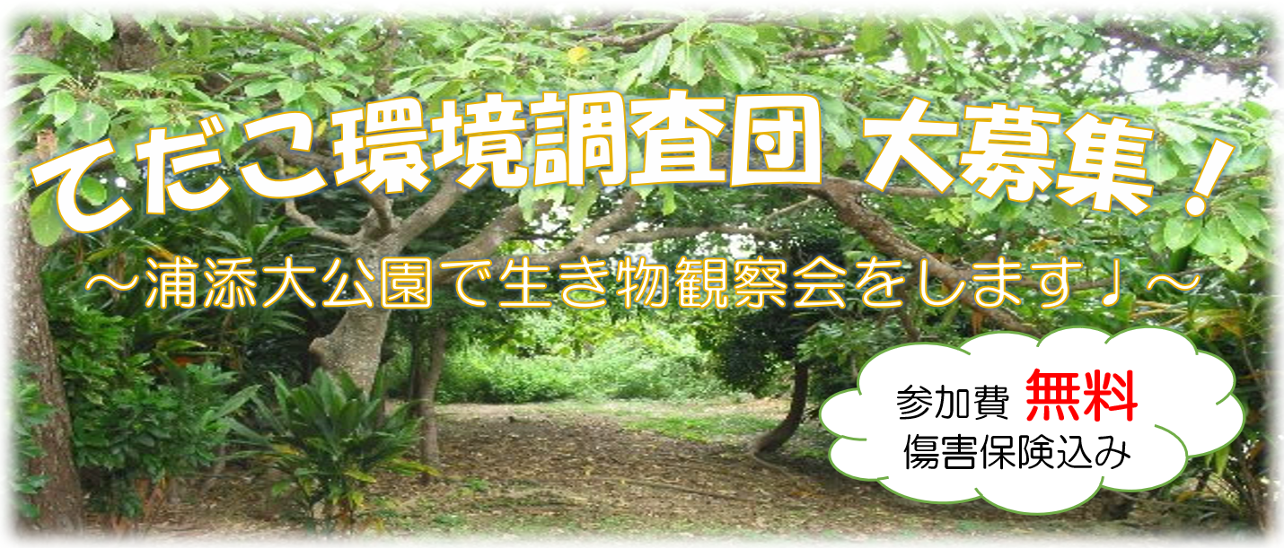 R7てだこ環境調査団大募集
