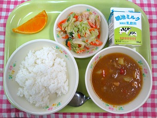0302 チキンカレー 0302 チキンカレー