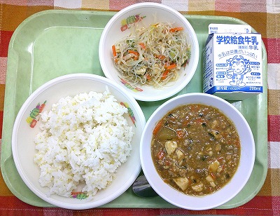 4.28マーボーとうがん