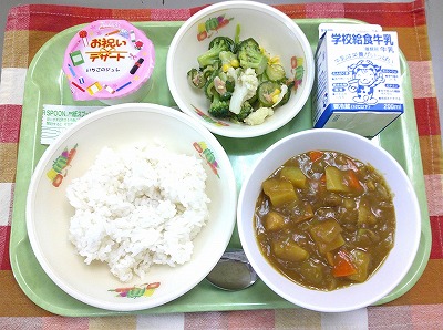 4.13チキンカレー