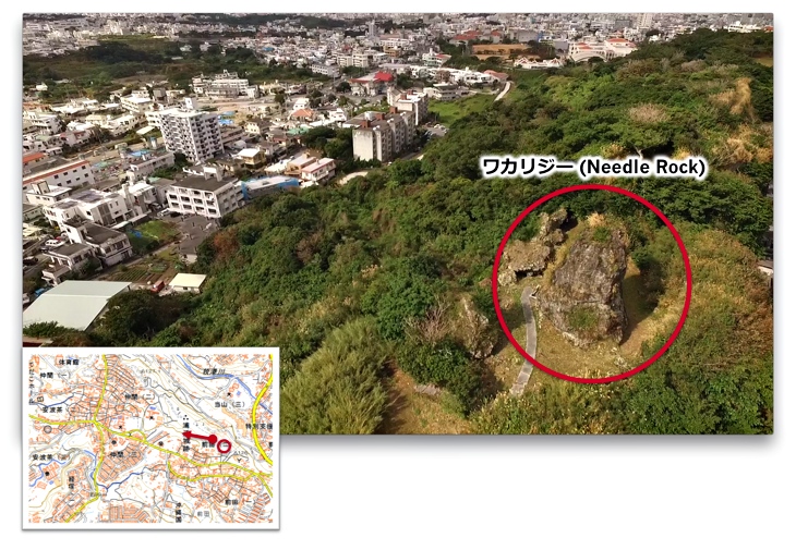 ワカリジーのドローン空撮