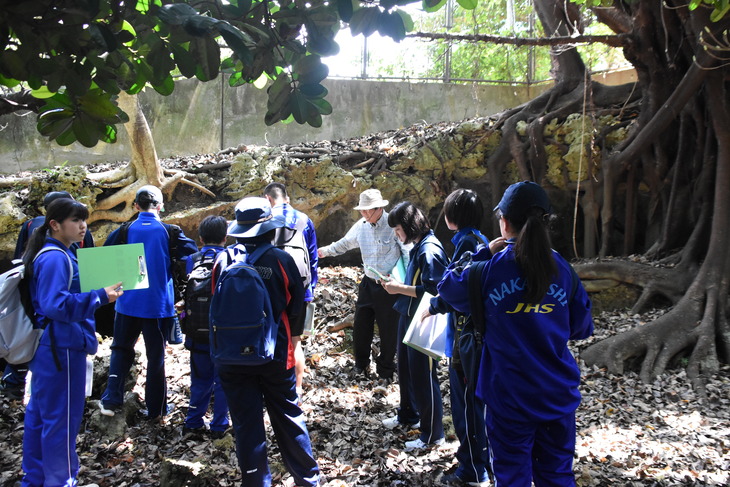 チヂフチャーガマ