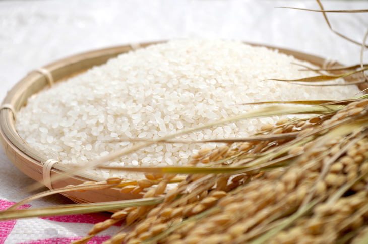 名護市から新米