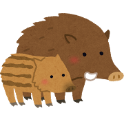 イノシシの親子