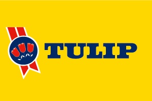 tulip