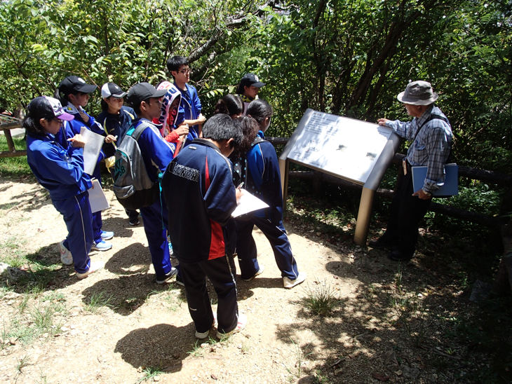 嘉数高地の戦い研修