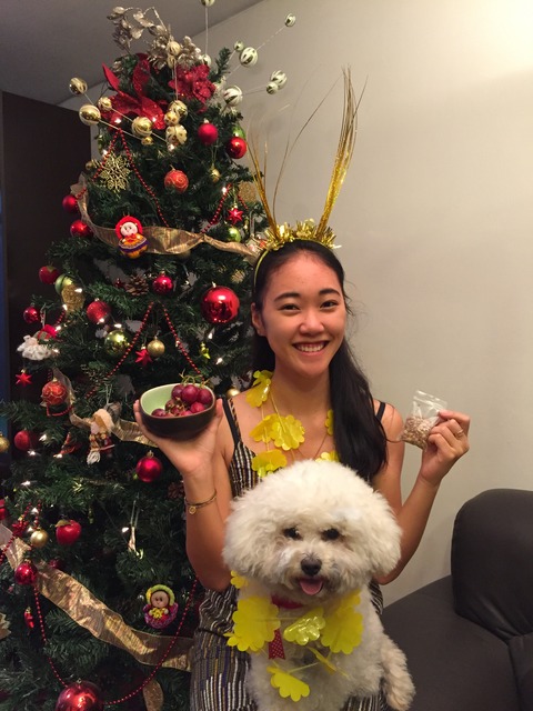 ブドウとひら豆