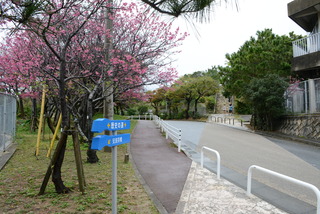 ●中頭方西海道