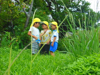DSCN8242