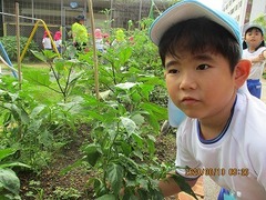 IMG_1213 - コピー