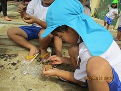 IMG_1218 - コピー