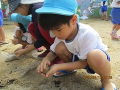 IMG_1219 - コピー