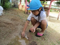 IMG_1225 - コピー