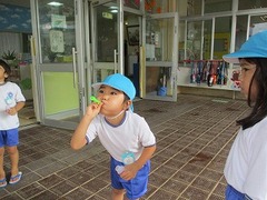 IMG_1236 - コピー