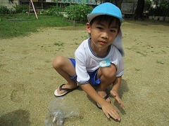 IMG_1248 - コピー