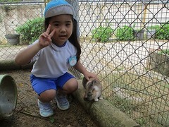 IMG_1253 - コピー