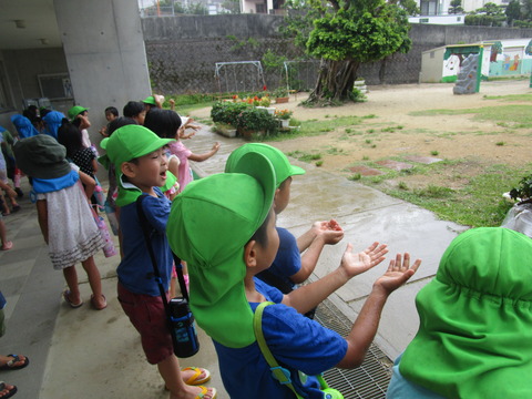 雨が降っちゃった