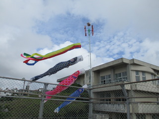 こいのぼりの写真