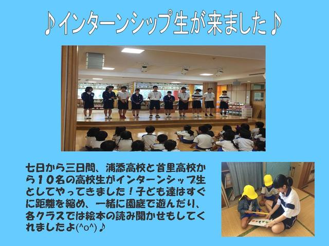 インターンシップ　画像