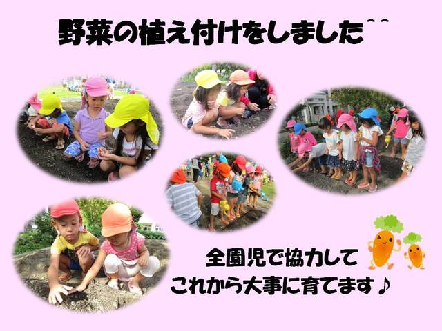 野菜の植え付けをしました＾＾