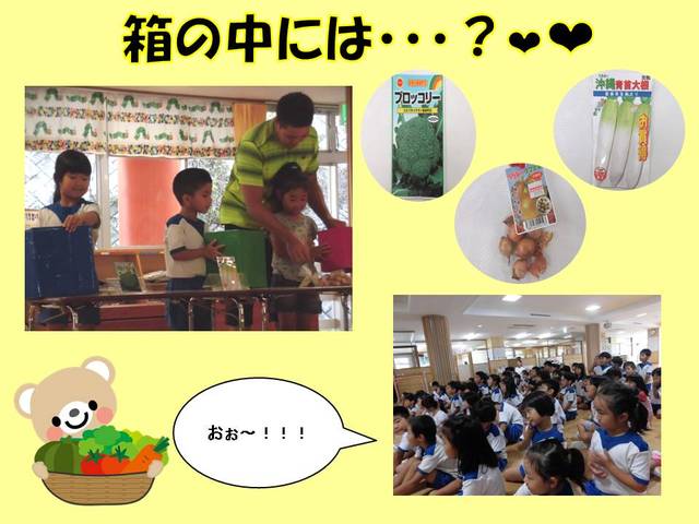 箱の中には・・・？