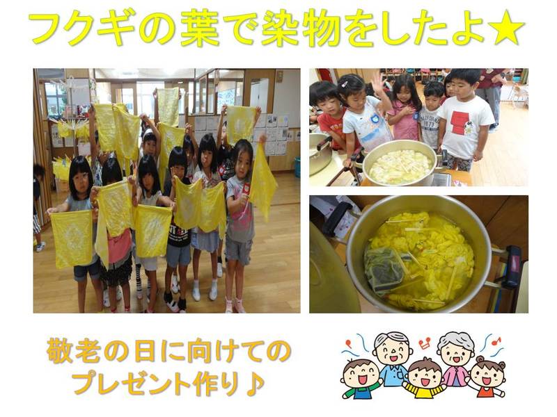 フクギの葉で染物をしたよ♪