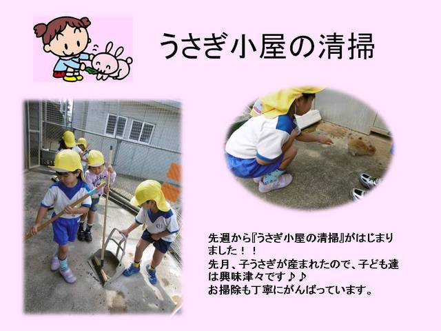 うさぎ小屋の清掃