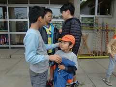 チューリップ６