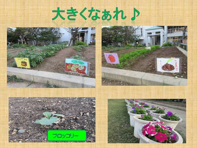 おおきくなあれ