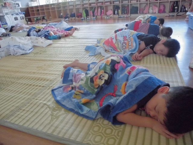 お昼寝中の写真