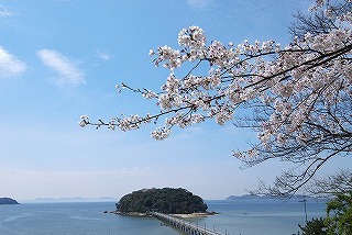春の蒲郡市の景色