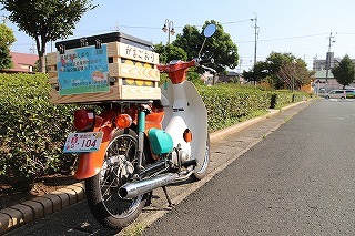 ご当地ナンバー