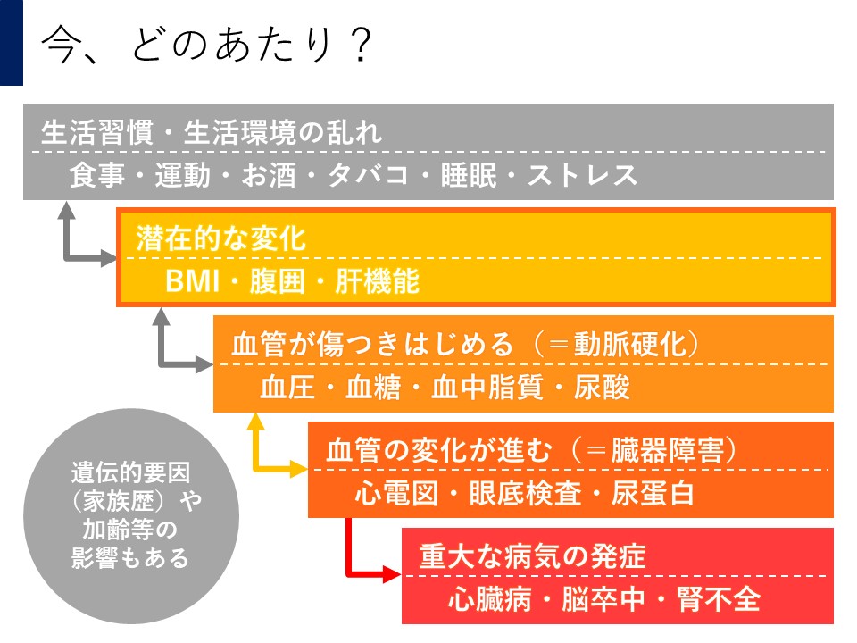 健診結果の段階
