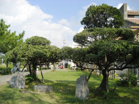 1988092300019_library_city_urasoe_lg_jp_img_IMG_59221_2JPG.JPG