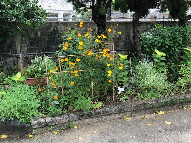 花咲かせ隊２ (1)